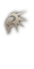 Necromancer — Class stage 2