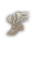 Prophet — 2.ª profissão