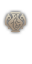 Elven Oracle — 1.ª profesión