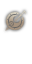 Palus Knight — 1.ª profesión
