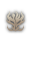 Orc Shaman — 1.ª profesión
